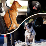 Canine Car Safety Belt