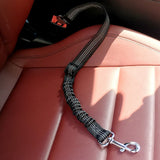 Canine Car Safety Belt